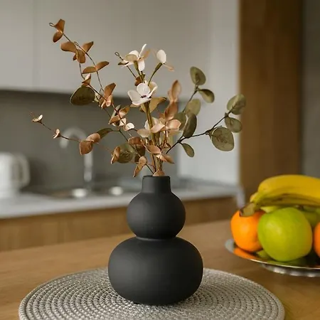 4u Διαμέρισμα Σκόπια